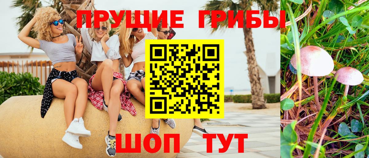 Химки  Псилоцибиновые грибы Cubensis  Галлюциногенные грибы Magic Shrooms  Вход с VPN 